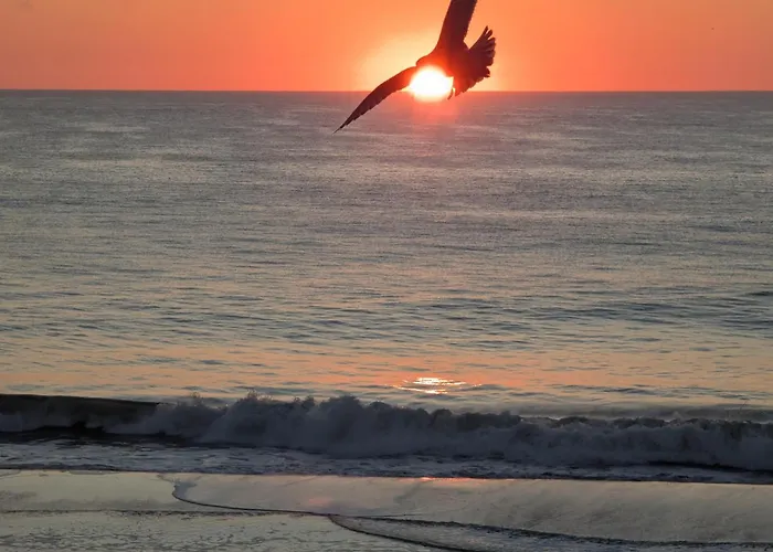 Apartment Beachbox I - Oceanfront Balcony - Sunrise Views - Couple's Retreat - East Winds 202 *